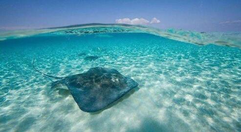 什么是離岸公司,離岸公司有什么優(yōu)缺點(diǎn)？